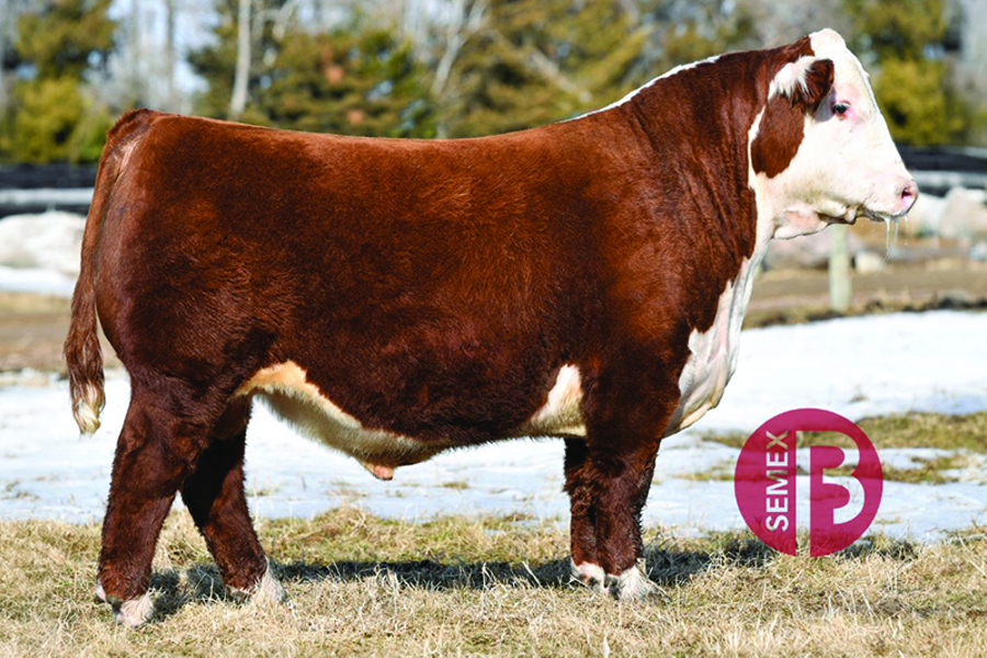 TH BIG COUNTRY 537G ET